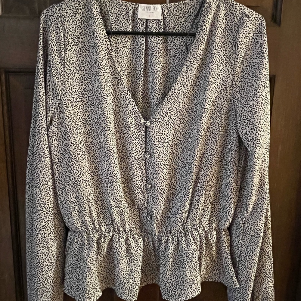 Sienna Sky Black and White V-Neck Blouse